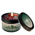 Cinnamon & Sandalwood Goal-Setting Candle — Crystal Meditation Candle