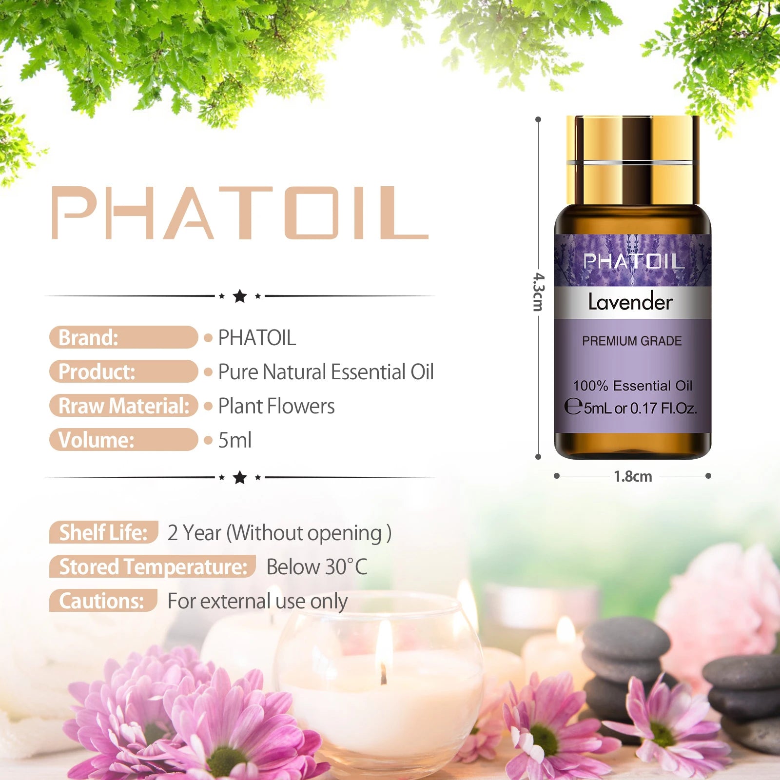 15-Piece Essential Oils Ritual Set — Pure Plant Aromatherapy Collection