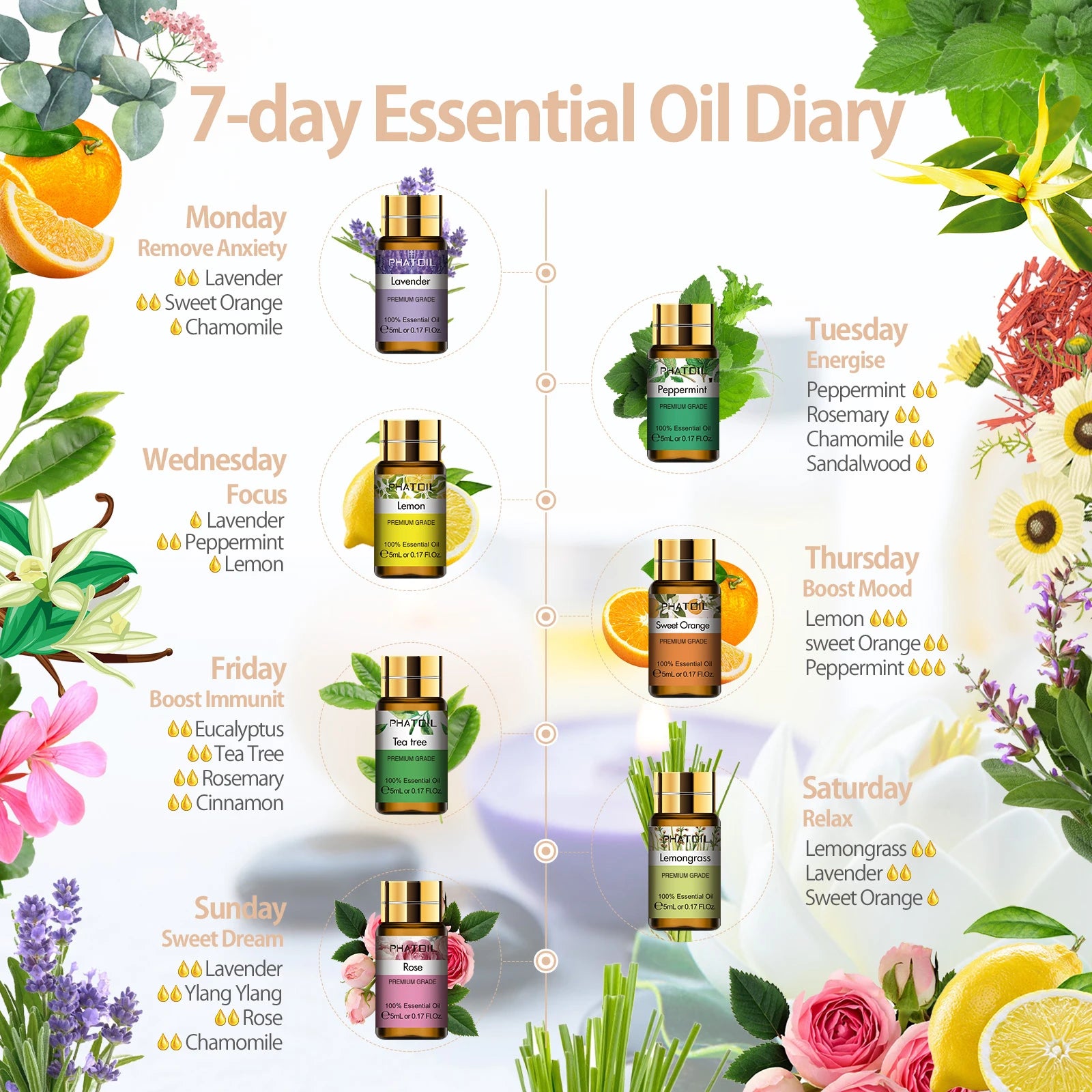 15-Piece Essential Oils Ritual Set — Pure Plant Aromatherapy Collection